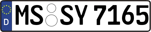 MS-SY7165