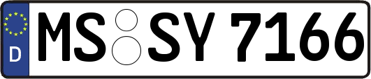 MS-SY7166
