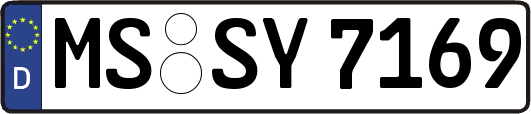 MS-SY7169