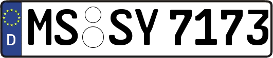 MS-SY7173