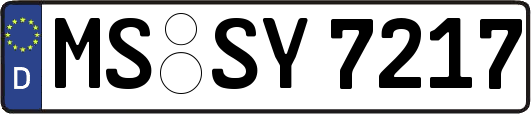 MS-SY7217