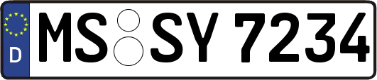 MS-SY7234