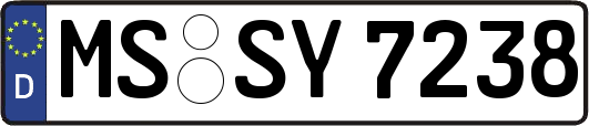 MS-SY7238