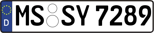 MS-SY7289