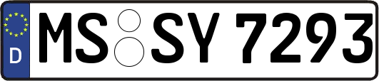 MS-SY7293