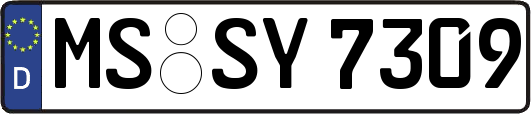 MS-SY7309