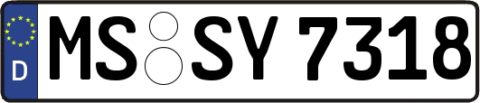 MS-SY7318