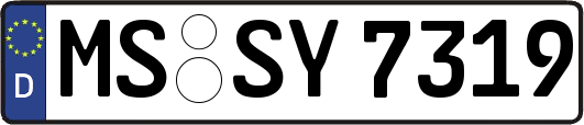 MS-SY7319