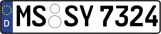 MS-SY7324