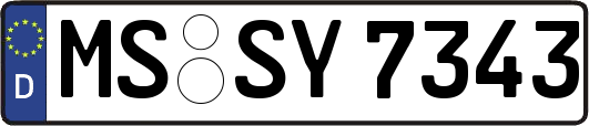 MS-SY7343