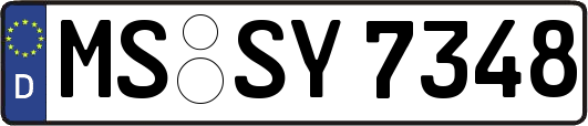 MS-SY7348