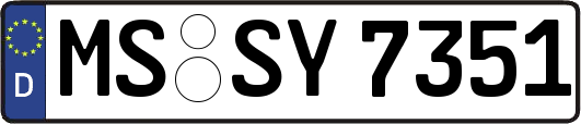 MS-SY7351