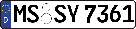 MS-SY7361