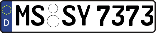MS-SY7373