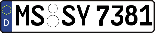 MS-SY7381