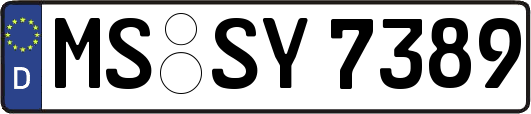 MS-SY7389