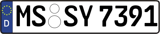 MS-SY7391