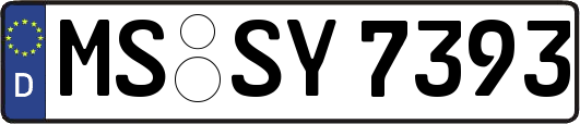MS-SY7393