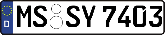 MS-SY7403