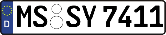 MS-SY7411