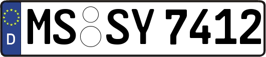 MS-SY7412