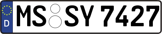 MS-SY7427