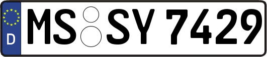 MS-SY7429