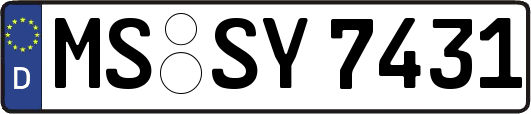 MS-SY7431