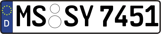 MS-SY7451