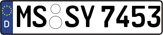 MS-SY7453