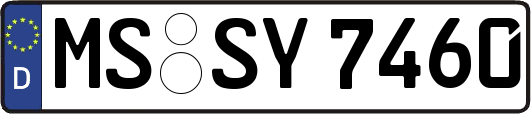 MS-SY7460
