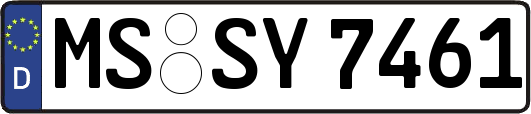 MS-SY7461