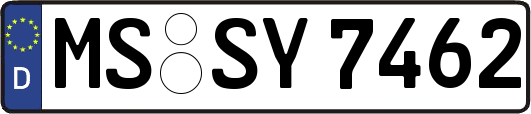 MS-SY7462