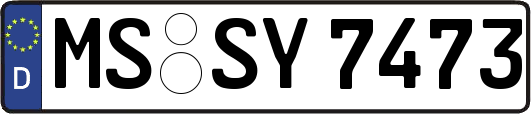 MS-SY7473