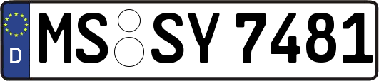 MS-SY7481