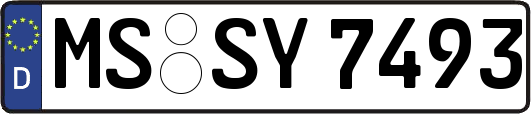 MS-SY7493