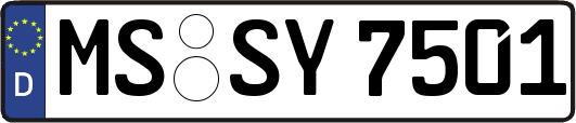 MS-SY7501