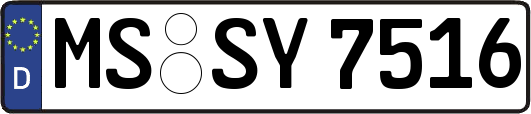MS-SY7516