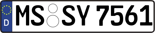 MS-SY7561