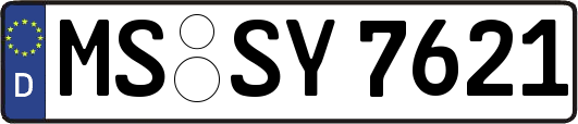MS-SY7621