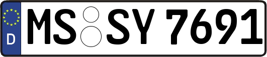MS-SY7691