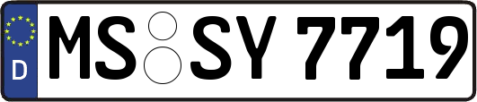MS-SY7719