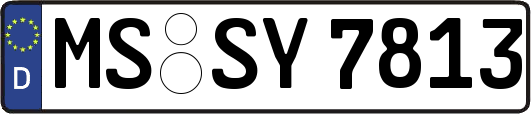 MS-SY7813