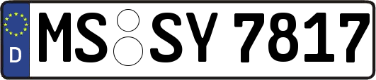 MS-SY7817