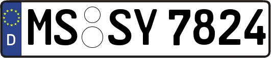 MS-SY7824