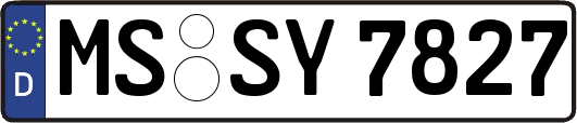 MS-SY7827