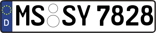 MS-SY7828