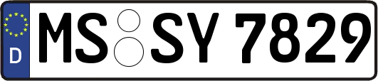 MS-SY7829