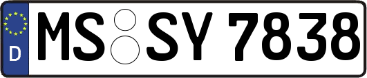 MS-SY7838
