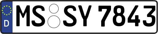 MS-SY7843